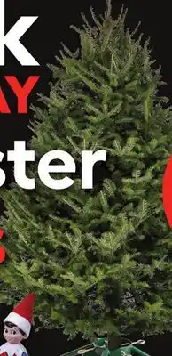 Lowe's Welded Steel Christmas Tree Stand offer