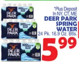 Bravo Supermarkets DEER PARK SPRING WATER offer