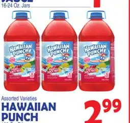 Bravo Supermarkets HAWAIIAN PUNCH offer