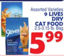 Bravo Supermarkets 9 LIVES DRY CAT FOOD offer