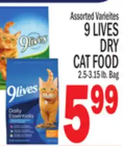 C Town 9 LIVES DRY CAT FOOD offer