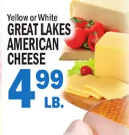 C Town GREAT LAKES AMERICAN CHEESE offer