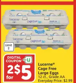 Albertsons Lucerne Cage Free Large Eggs offer