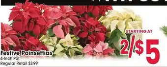 Jewel-Osco Festive Poinsettias offer