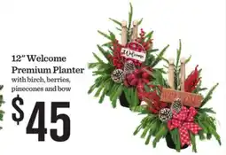 Mariano's 12 Welcome Premium Planter with birch, berries, pinecones and bow offer