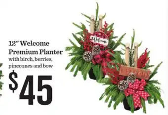Mariano's 12 Welcome Premium Planter with birch, berries, pinecones and bow offer