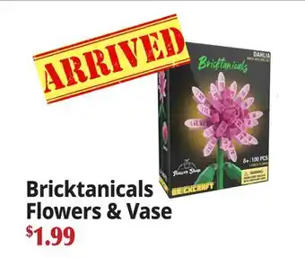 Ocean State Job Lot Bricktanicals Flowers & Vase offer