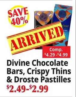 Ocean State Job Lot Divine Chocolate Bars, Crispy Thins & Droste Pastilles offer