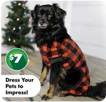 Dollar Tree Dress Your Pet to Impress! offer