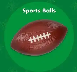 Dollar Tree Sports Balls offer