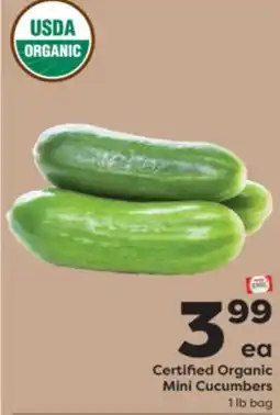 Weis Markets Certified Organic Mini Cucumbers offer
