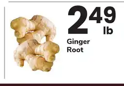 ACME Ginger Root offer
