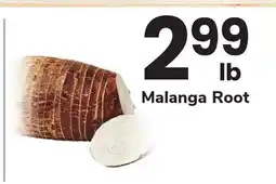 ACME Malanga Root offer