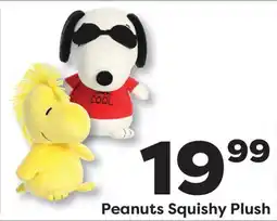 Weis Markets Peanuts Squishy Plush offer
