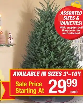 Menards TREES offer