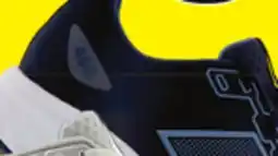 Big 5 New Balance W460 V4 Women's Running Shoes offer