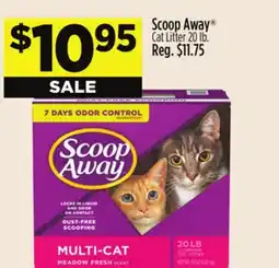 Dollar General Scoop Away Cat Litter offer