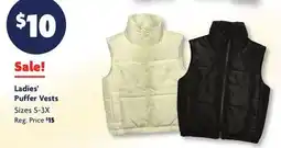 Family Dollar Ladies' Puffer Vests offer