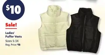 Family Dollar Ladies' Puffer Vests offer