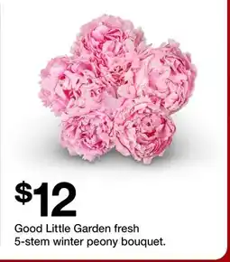 Target Good Little Garden fresh 5-stem winter peony bouquet offer