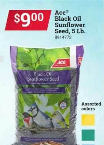 Ace Hardware Ace Black Oil Sunflower Seed offer