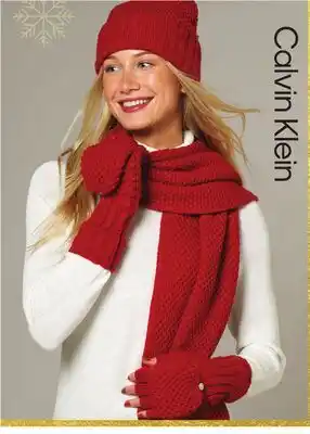 Boscov's STEVE MADDEN offer