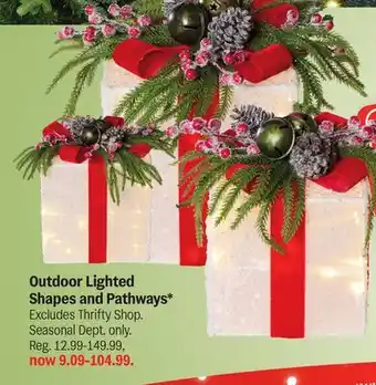 Meijer Outdoor Lighted Shapes and Pathways offer