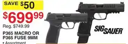 Dunham's Sports P365 MACRO OR P365 FUSE 9MM offer