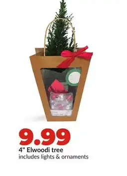 Hy-Vee 4 Elwoodi tree offer