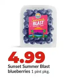 Hy-Vee Sunset Summer Blast blueberries offer