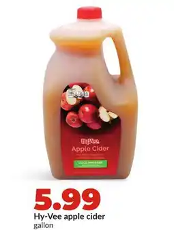 Hy-Vee Hy-Vee apple cider offer