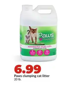 Hy-Vee Paws clumping cat litter offer