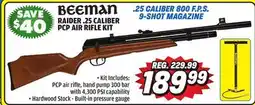Big 5 Beeman Raider .25 Caliber PCP Air Rifle Kit offer