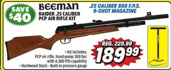 Big 5 Beeman Raider .25 Caliber PCP Air Rifle Kit offer