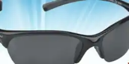 Big 5 Nike Skylon Exp 2 Polarized Sunglasses offer