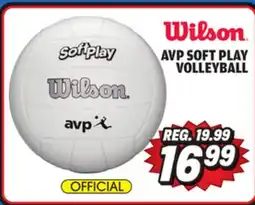 Big 5 Wilson AVP Soft Play Volleyball offer