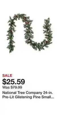 Kohl's National Tree Company 24-in. Pre-Lit Glistening Pine Small Artificial Christmas Garland offer