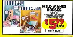 Ollie's WILD MANES HORSES offer