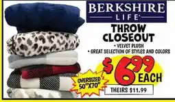 Ollie's BERKSHIRE LIFE THROW CLOSEOUT offer