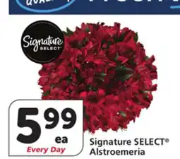 Vons Signature SELECT Alstroemeria offer