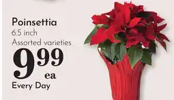 Pavilions Poinsettia offer