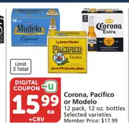 Albertsons Corona, Pacifico or Modelo offer