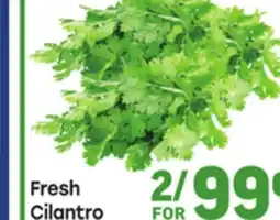 Tony’s Fresh Market Cilantro offer
