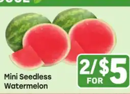 Tony’s Fresh Market Mini Seedless Watermelon offer