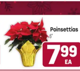 Tony’s Fresh Market Poinsettias offer