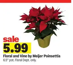 Meijer Floral and Vine by Meijer Poinsettia offer