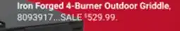 Ace Hardware Iron Forged 4-Burner Outdoor Griddle offer