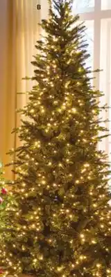 Ace Hardware 7.5' Prelit Cascading Color-Changing LED Slim offer