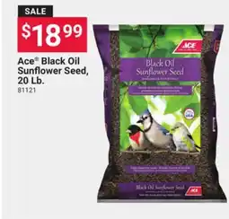 Ace Hardware Ace Black Oil Sunflower Seed 20 Lb offer