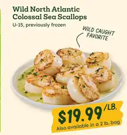 Sprouts Farmers Market Wild North Atlantic Colossal Sea Scallops offer